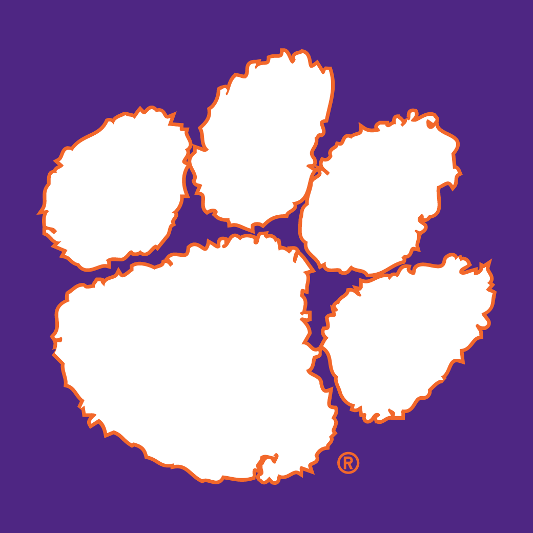 Clemson Tigers 1977-Pres Secondary Logo 05 vinyl decal